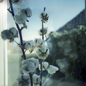 Interieurs-Anonymes-12